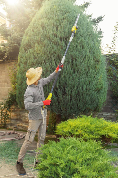 Best Leaf Removal Services  in Nneconne, WI